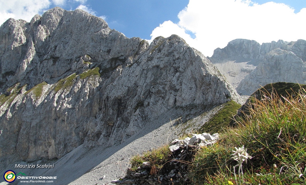 39 Tra Corna Piana, Stelle Alpine e Arera......JPG